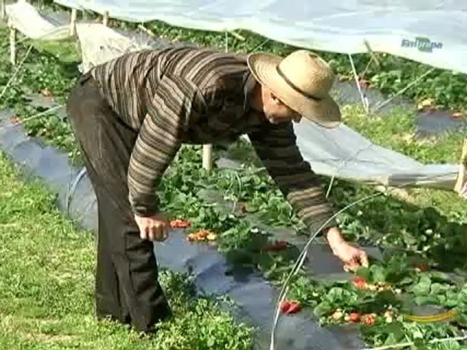 Dia de Campo do dia 08-12-2012