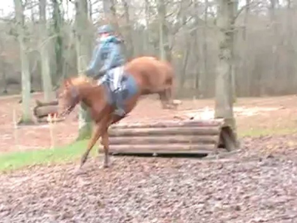 20121209 VANILLE SANDILLON