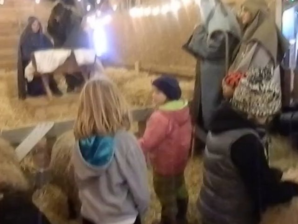 DSCN4594