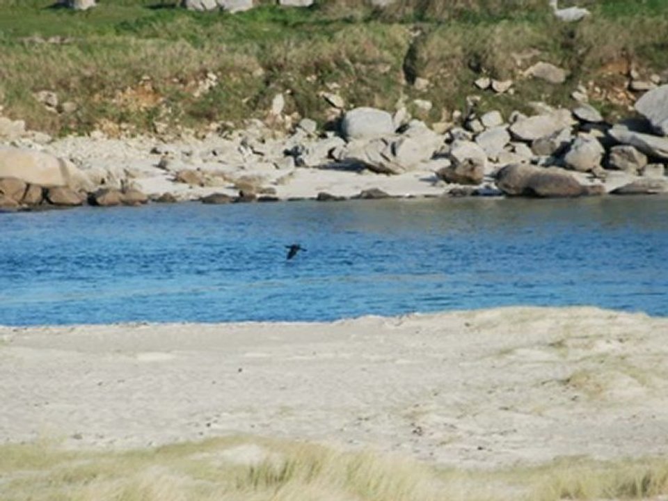 Gigue irlandaise à Kerema