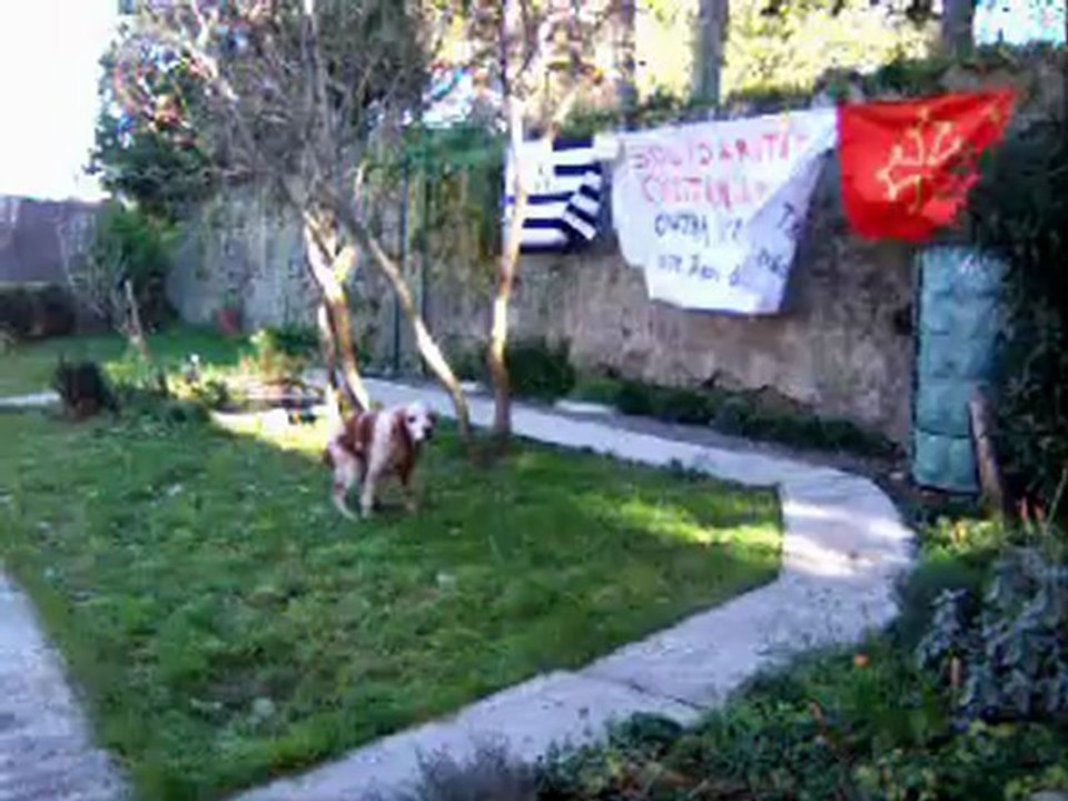 Sami contra Ayraultport