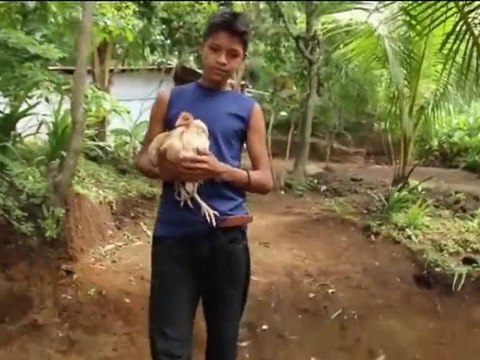 Il fait l'amour avec des poules