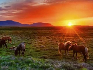 LATİFE ERASLAN-BİR HABER SALAYIM