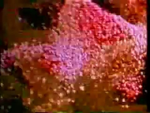 Cymatics - Bringing Matter To Life With Sound (Part 1 of 3)