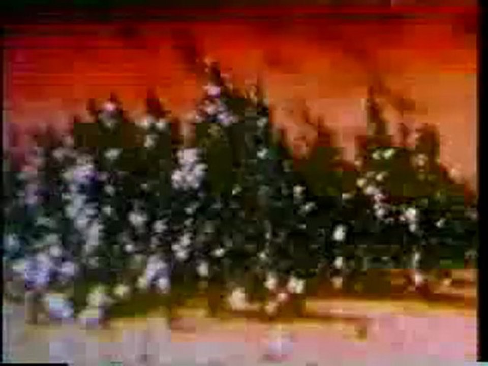 Cymatics - Bringing Matter To Life With Sound (Part 3 of 3)