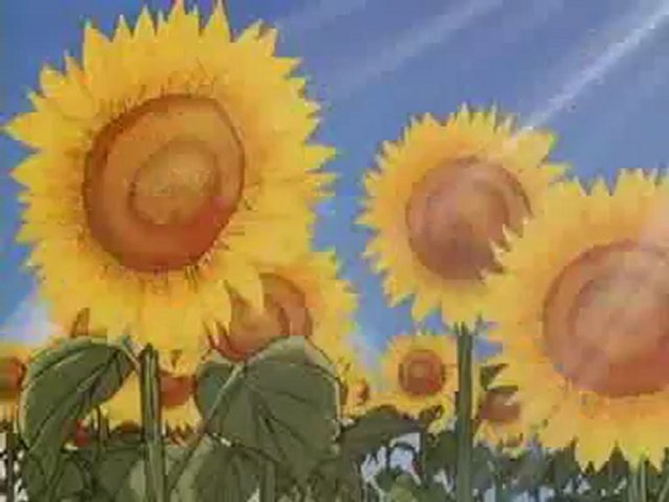 Ranma 1/2 OAV Opening 5 - Owaranai Natsu Yasumi