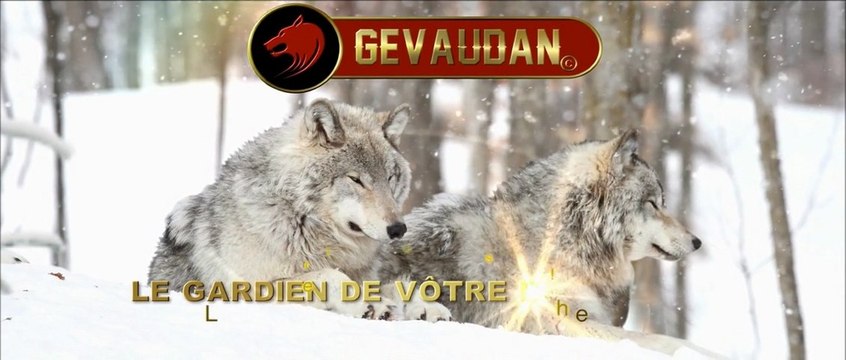 Poêle à granulés et machine à pellets GEVAUDAN