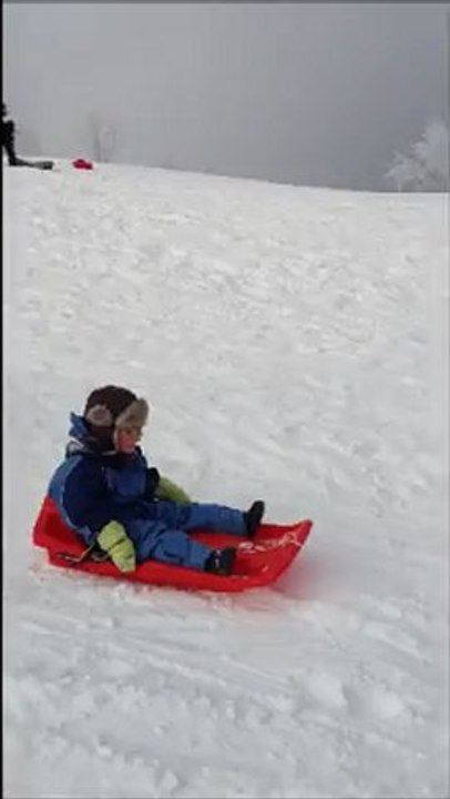 luge