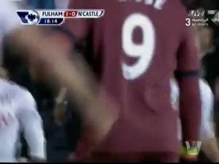 أهداف نيوكاسل يونايتد 0_1 فولهام  سيدويل