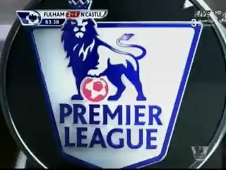 أهداف فولهام 2_1 نيوكاسل روداليجا