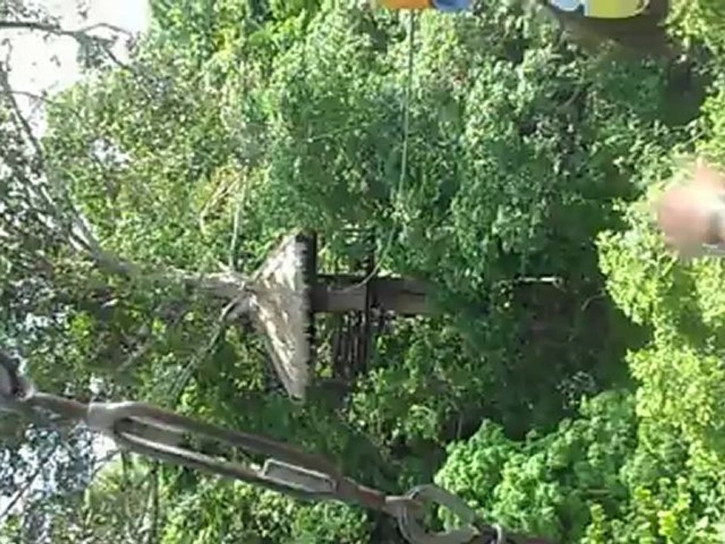 ⁣Flight of the Gibbon 2