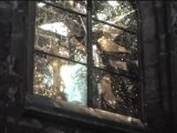 Let Us In!!! - Resident Evil 6 Walkthrough {HD} Leon Story Pt - 8