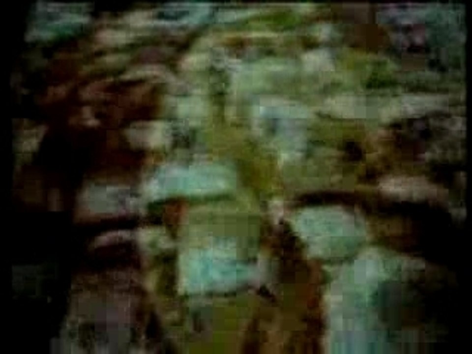 message a caractère informatif