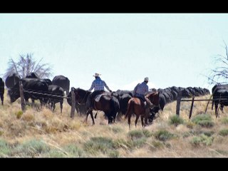 Padres Mesa Ranch Video Brochure