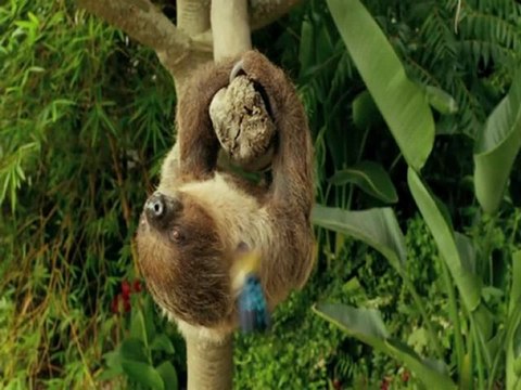 Life of Pi Full Movie [Complete Movie] Part 1 (2012) - Suraj Sharma, Irrfan Khan