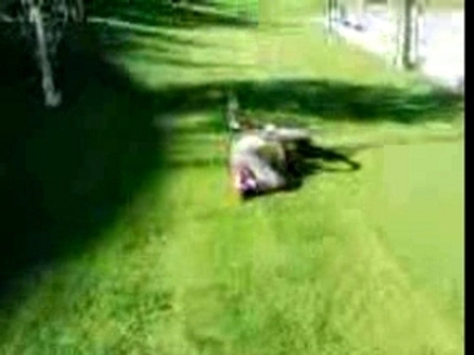 saut loupé