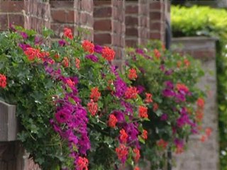 Hôpital Notre-Dame à la Rose, Lessines