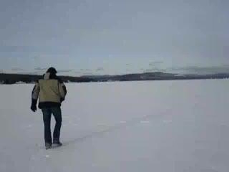 Winter Walk