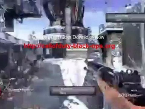 Black Ops 15th Prestige Hack / Gold Guns Everything Unlocked USB