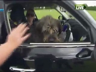 Direksiyon sınavından geçti