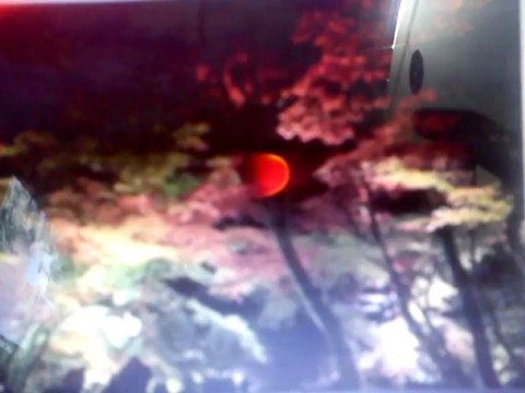 sửa máy giặt LG tại MỸ ĐÌNH 0983440201 sửa máy giặt LG tại MỸ ĐÌNH 0983440201