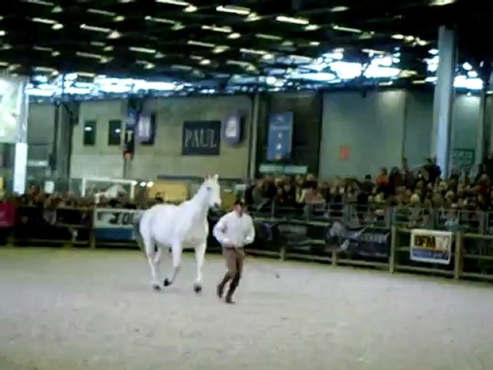 Andy-Oakies-liberté, my cherie, suite