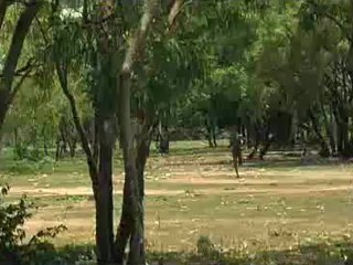 워커바웃.1970.CD2