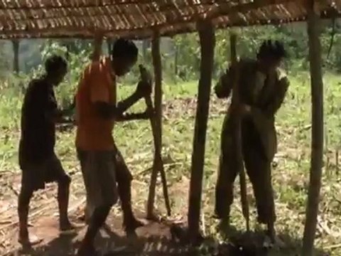 Saving the Last Wild Coffee Forests | Global 3000