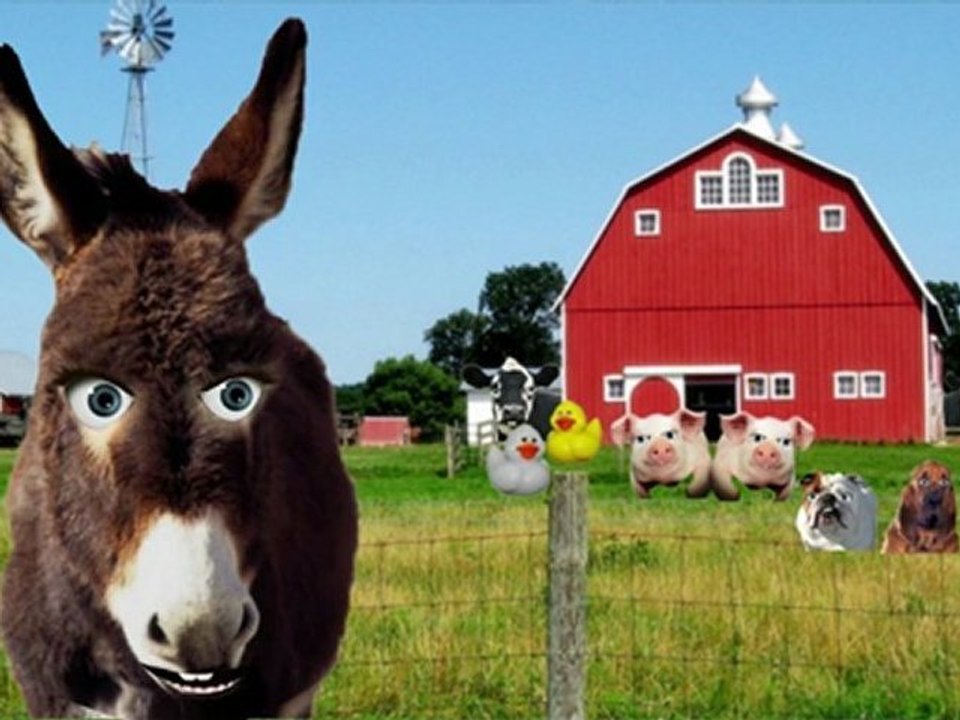 old macdonald had a farm Nursery Rhyme