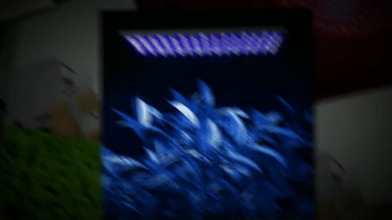 Hydroponic techniques for growing plants