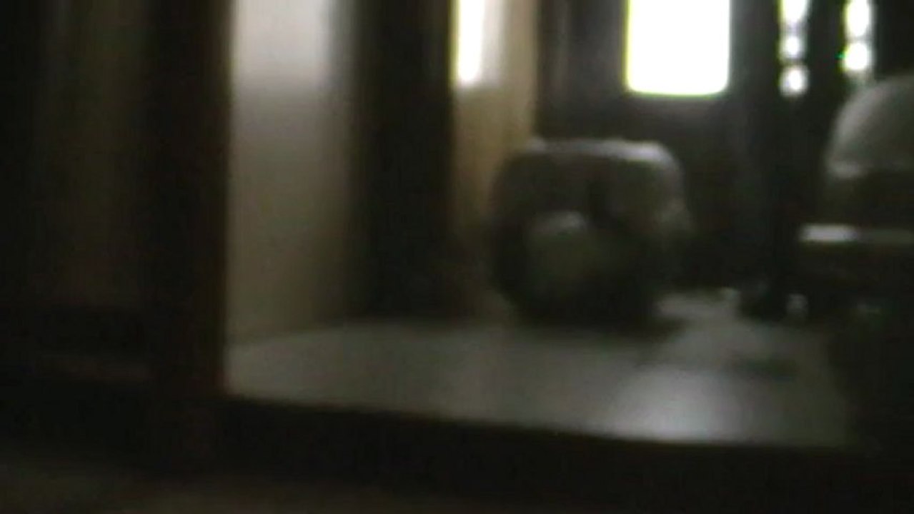 rencontre Wally,Nelly et Nalou