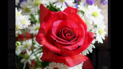 Zara  *Dilenci*Söz ve Müzik:Orhan Gencebay