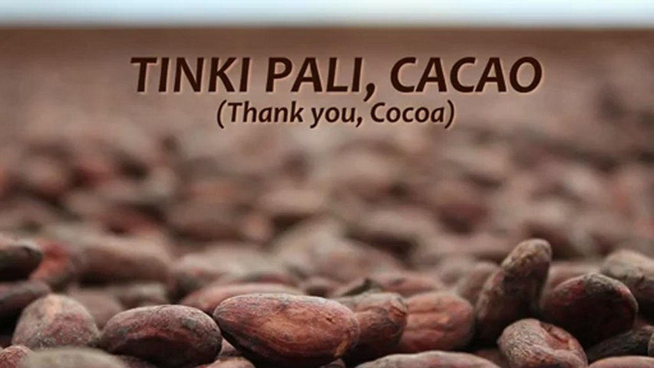 Tinki Pali, Cacao (Thank you, Cocoa). Documentary on the cocoa value chain approach in Honduras. PYMERURAL, 2012.