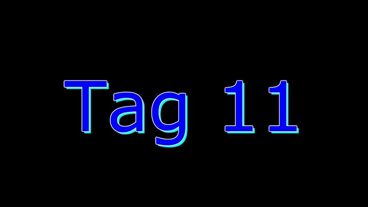 LEGO SW/City Adventskalender (2012) 11 HD