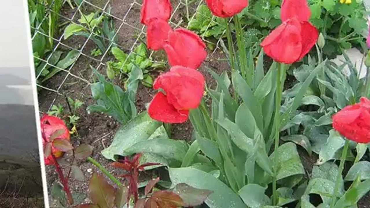 природа Ивановки
