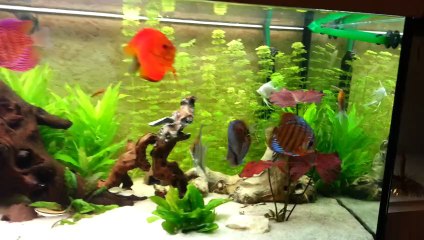 mon 2 M de 720 Litres