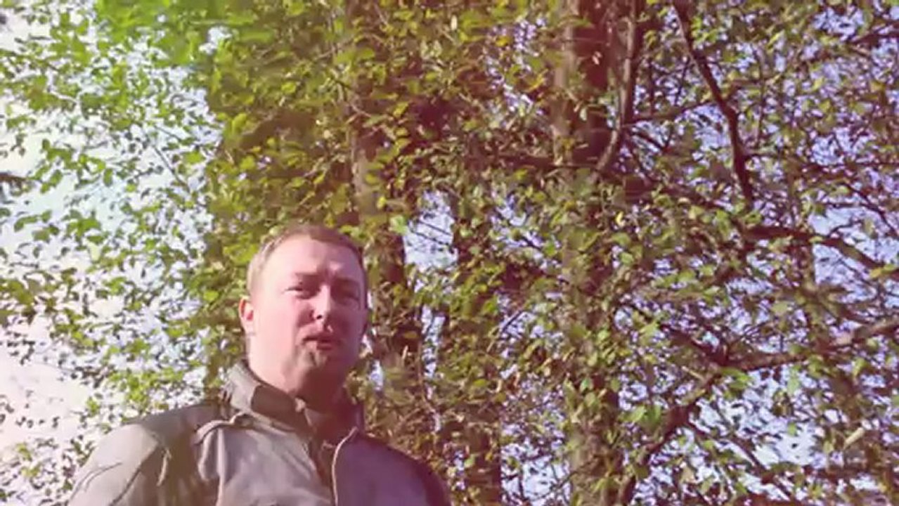 Triumph Tiger 800 XC and 1200 Explorer Review - Cat Video