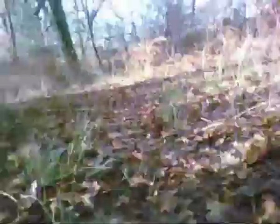 Dimanche 16 decembre 2012