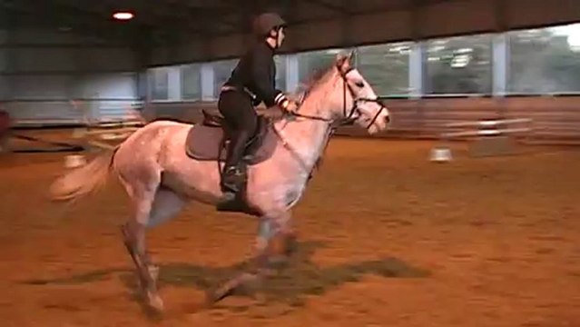 Challenge du club le 16.12.2012 - Epreuve 95cm