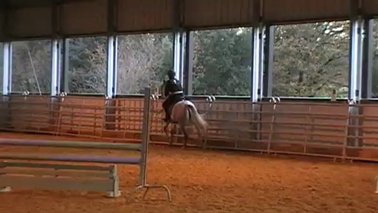 Challenge du club le 16.12.2012 - Epreuve 95cm barrage