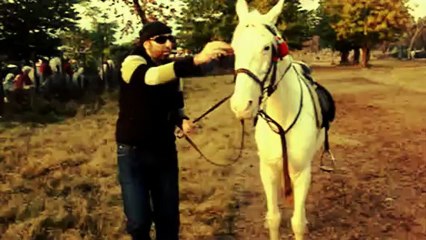 روعة ركوب الخيل