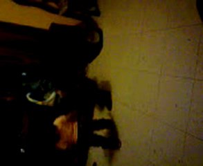 damaris y david diaz