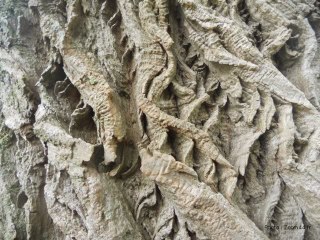 Création sonore "Souffle 1" - Fin du monde sur 88.8 FM