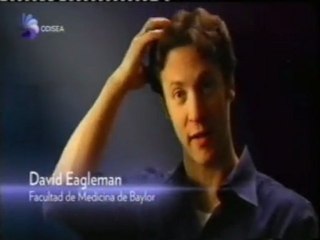 Estres y percepcion del tiempo: ¿Vision a camara lenta? (David Eagleman)