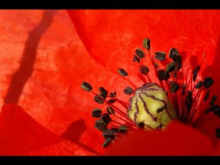 Chant espagnol lyrique - "Madre, unos ojuelos vi" Eduardo Toldra