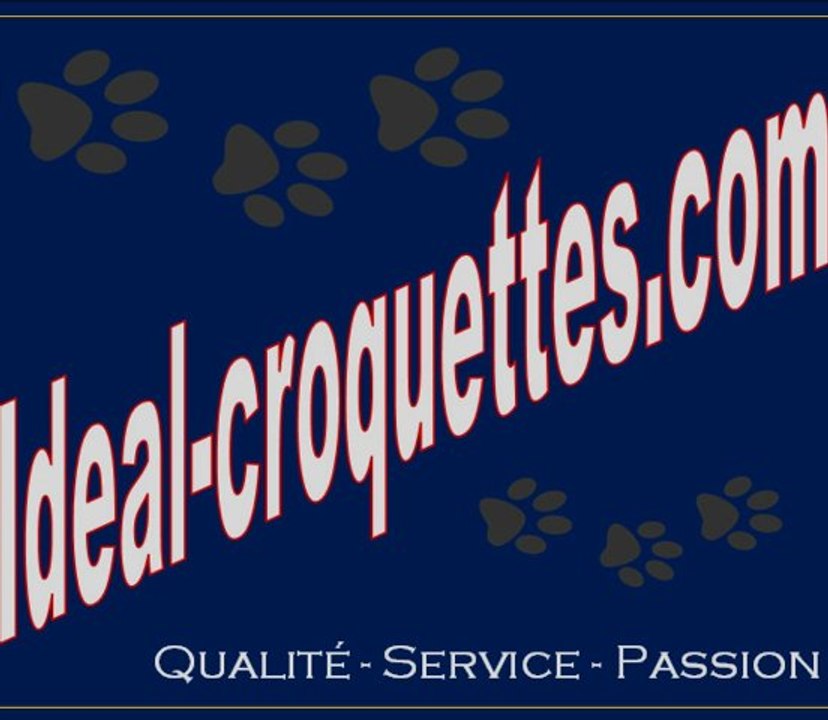 Croquettes chien et croquettes chat