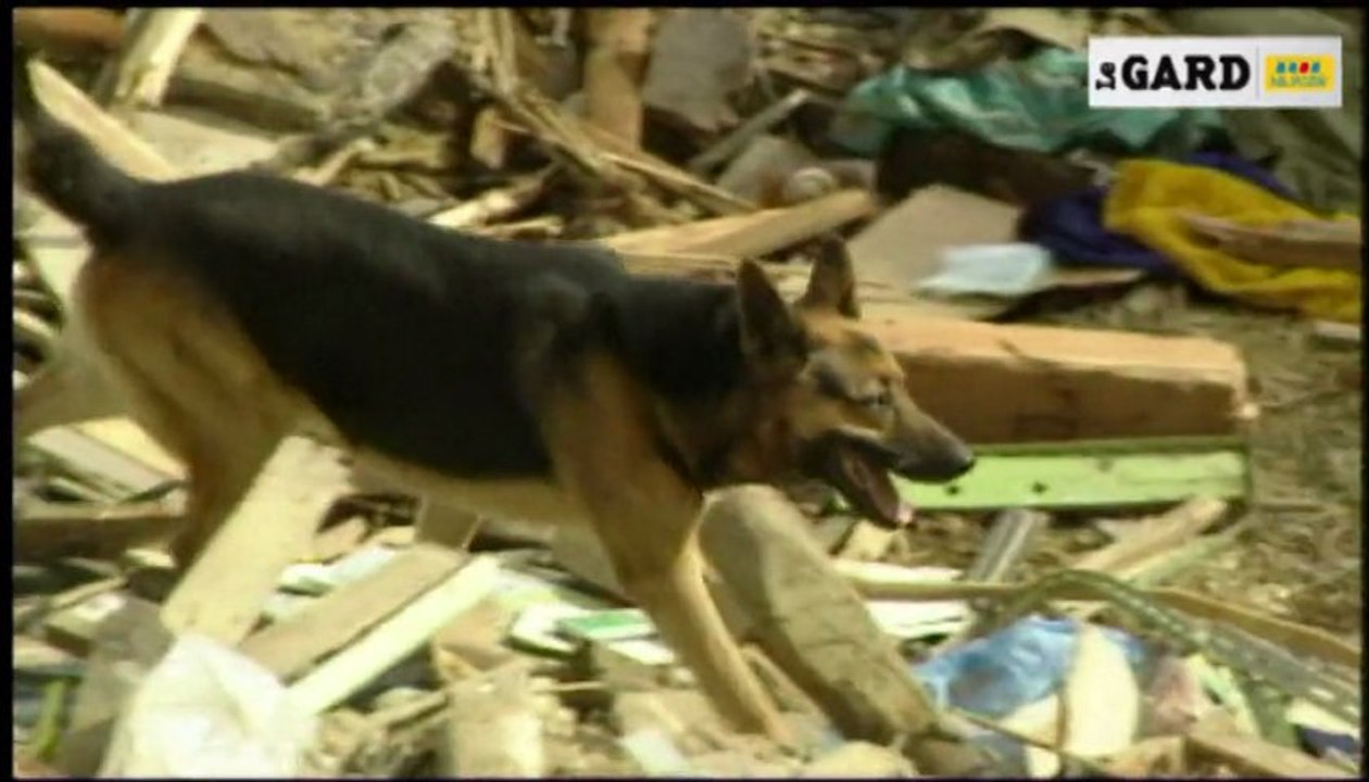 Ces "toutous" gardois qui sauvent des vies