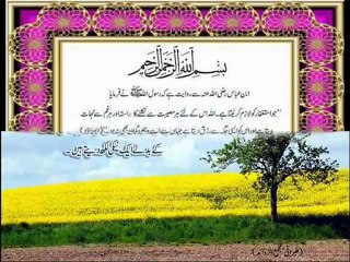 Zameen Maili Nahin Hoti