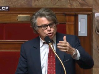 Reportages : Gilbert Collard (app FN) aux socialistes : "vous êtes des fascistes"