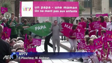 Reactions to proposed gay marriage and adoption bill in France